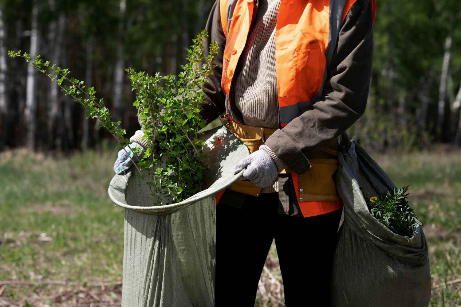 Best Affordable Tree Service  in Black Jack, MO